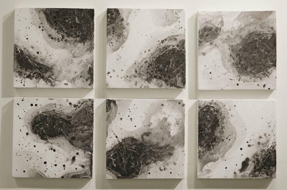 Feel the Fate II, 2009 — six square canvases in black, silver and pale grey with scattered spatter and fine scratched lines