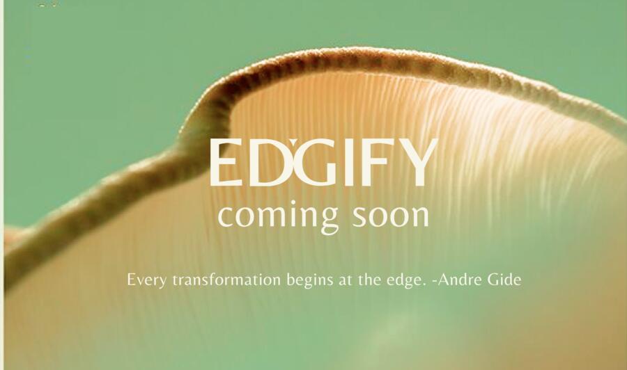 Identity study — a close view of a pale ridged form against soft green, its dark rim catching the light